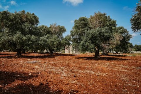 Villa i Carovigno, Brindisi, Carovigno - € 75.000 | Ref: 642 - foto 7