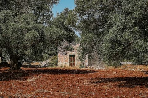 Villa i Carovigno, Brindisi, Carovigno - € 75.000 | Ref: 642 - foto 8