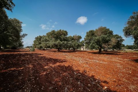 Villa i Carovigno, Brindisi, Carovigno - € 75.000 | Ref: 642 - foto 9