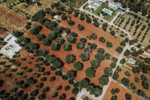 Villa i Carovigno, Brindisi, Carovigno - € 75.000 | Ref: 642 - foto 10