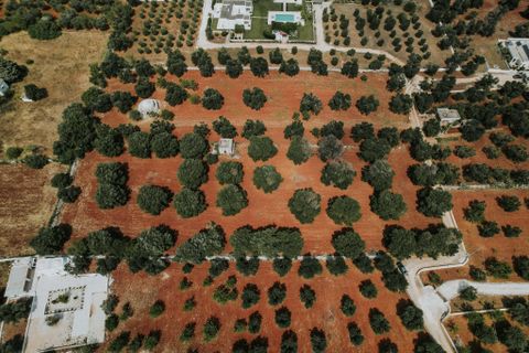 Villa i Carovigno, Brindisi, Carovigno - € 75.000 | Ref: 642 - foto 11