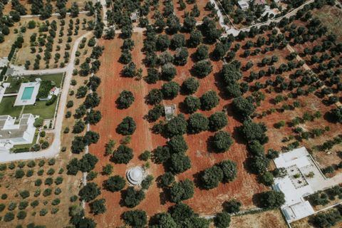 Villa i Carovigno, Brindisi, Carovigno - € 75.000 | Ref: 642 - foto 12