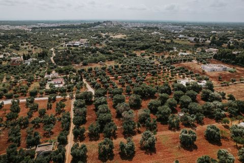 Villa i Carovigno, Brindisi, Carovigno - € 75.000 | Ref: 642 - foto 13