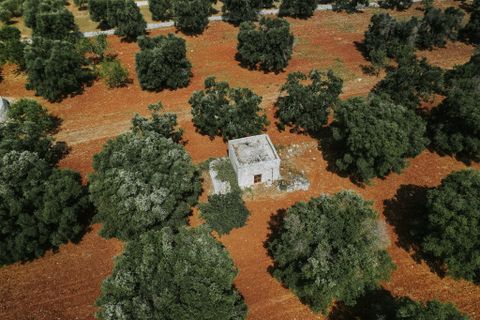 Villa i Carovigno, Brindisi, Carovigno - € 75.000 | Ref: 642 - foto 15