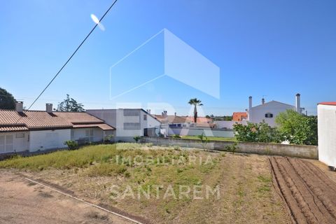 Villa i Vale de Santarem, Santarem, Vale de Santarem - € 450.000 | Ref: 11347 - foto 9
