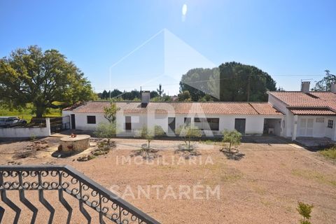 Villa i Vale de Santarem, Santarem, Vale de Santarem - € 450.000 | Ref: 11347 - foto 14
