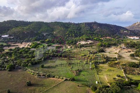 Farm i Setubal, Setubal, Setubal - € 1.200.000 | Ref: CI7809-09 - foto 2