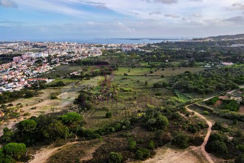 Farm i Setubal, Setubal, Setubal - € 1.200.000 | Ref: CI7809-09 - foto 3