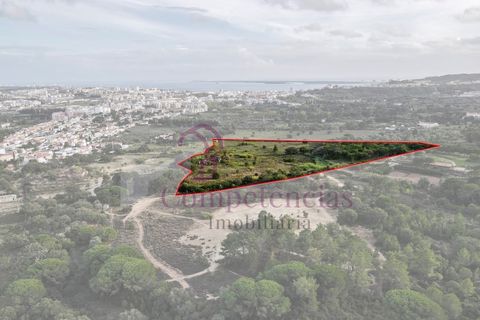 Farm i Setubal, Setubal, Setubal - € 1.200.000 | Ref: CI7809-09 - foto 5