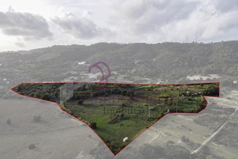 Farm i Setubal, Setubal, Setubal - € 1.200.000 | Ref: CI7809-09 - foto 4