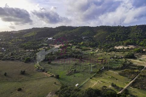 Farm i Setubal, Setubal, Setubal - € 1.200.000 | Ref: CI7809-09 - foto 6