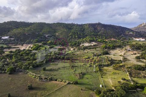 Farm i Setubal, Setubal, Setubal - € 1.200.000 | Ref: CI7809-09 - foto 7