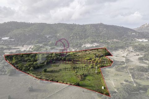 Farm i Setubal, Setubal, Setubal - € 1.200.000 | Ref: CI7809-09 - foto 8