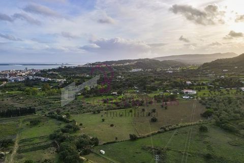 Farm i Setubal, Setubal, Setubal - € 1.200.000 | Ref: CI7809-09 - foto 9