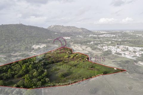 Farm i Setubal, Setubal, Setubal - € 1.200.000 | Ref: CI7809-09 - foto 10