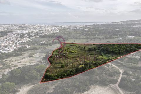Farm i Setubal, Setubal, Setubal - € 1.200.000 | Ref: CI7809-09 - foto 11