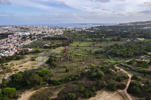 Farm i Setubal, Setubal, Setubal - € 1.200.000 | Ref: CI7809-09 - foto 12