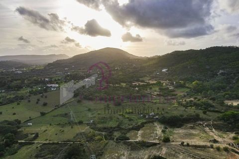 Farm i Setubal, Setubal, Setubal - € 1.200.000 | Ref: CI7809-09 - foto 13