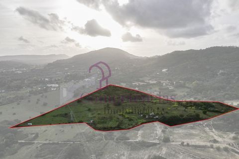 Farm i Setubal, Setubal, Setubal - € 1.200.000 | Ref: CI7809-09 - foto 14