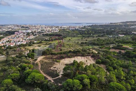 Farm i Setubal, Setubal, Setubal - € 1.200.000 | Ref: CI7809-09 - foto 15