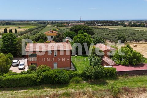 Landejendom i Capalbio, Grosseto, Capalbio - € 1.000.000 | Ref: V-0077 - foto 6