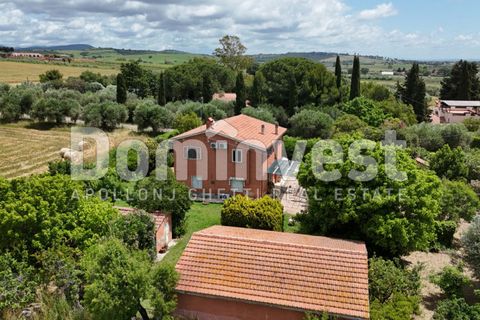 Landejendom i Capalbio, Grosseto, Capalbio - € 1.000.000 | Ref: V-0077 - foto 7