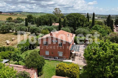 Landejendom i Capalbio, Grosseto, Capalbio - € 1.000.000 | Ref: V-0077 - foto 9