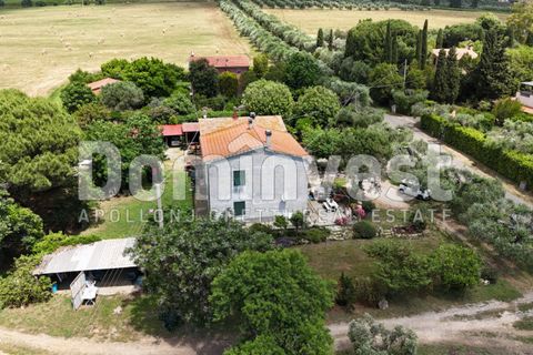 Landejendom i Capalbio, Grosseto, Capalbio - € 1.000.000 | Ref: V-0077 - foto 10