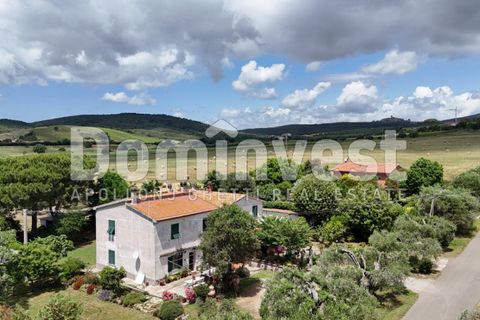 Landejendom i Capalbio, Grosseto, Capalbio - € 1.000.000 | Ref: V-0077 - foto 11