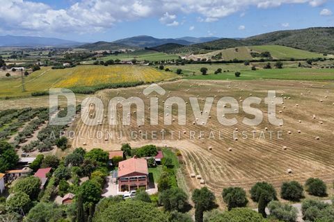 Landejendom i Capalbio, Grosseto, Capalbio - € 1.000.000 | Ref: V-0077 - foto 5