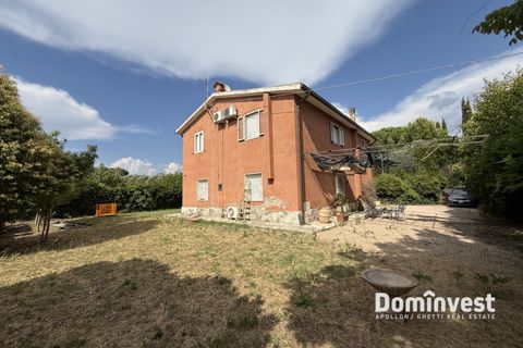 Masia a Capalbio, Grosseto, Capalbio - € 1.000.000 | Ref: V-0077 - foto 17