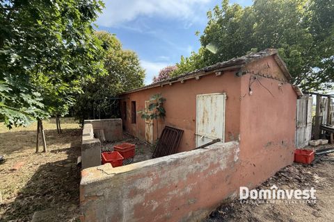 Masia a Capalbio, Grosseto, Capalbio - € 1.000.000 | Ref: V-0077 - foto 19