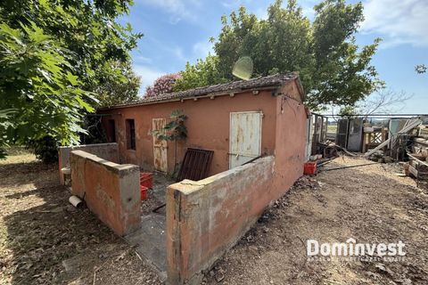 Masia a Capalbio, Grosseto, Capalbio - € 1.000.000 | Ref: V-0077 - foto 20