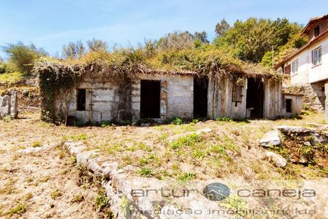 Landejendom i Arcos de Valdevez, Viana do Castelo, Arcos de Valdevez - € 125.000 | Ref: 7124 - foto 9