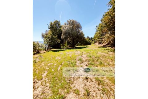 Landejendom i Arcos de Valdevez, Viana do Castelo, Arcos de Valdevez - € 125.000 | Ref: 7124 - foto 14