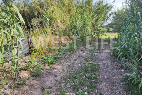 Helårsgrund i Torres Vedras, Lisbon, Torres Vedras - € 40.000 | Ref: 5146WT - foto 1