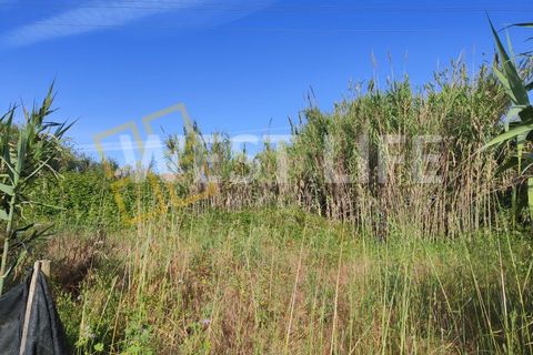 Helårsgrund i Torres Vedras, Lisbon, Torres Vedras - € 40.000 | Ref: 5146WT - foto 7