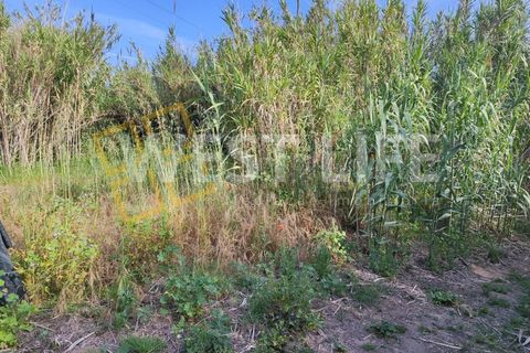 Helårsgrund i Torres Vedras, Lisbon, Torres Vedras - € 40.000 | Ref: 5146WT - foto 10
