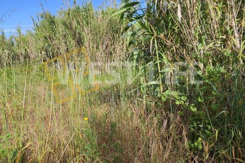 Helårsgrund i Torres Vedras, Lisbon, Torres Vedras - € 40.000 | Ref: 5146WT - foto 12