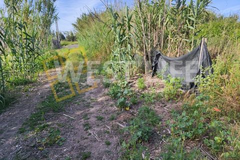 Helårsgrund i Torres Vedras, Lisbon, Torres Vedras - € 40.000 | Ref: 5146WT - foto 13