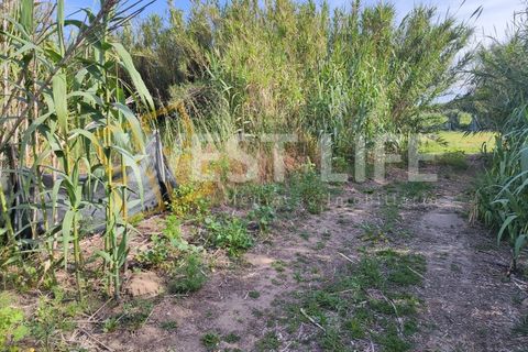 Helårsgrund i Torres Vedras, Lisbon, Torres Vedras - € 40.000 | Ref: 5146WT - foto 14
