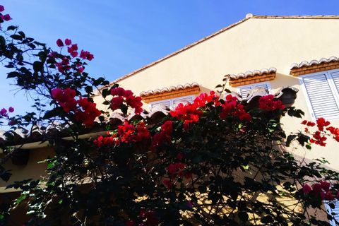 Villa a Xativa, Valencia, Xativa - € 395.000 | Ref: EB15045 - foto 34
