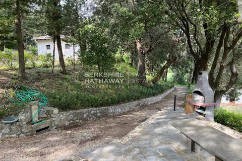 Villa i Riparbella, Pisa, Riparbella - € 1.200.000 | Ref: ITO2840 - foto 12