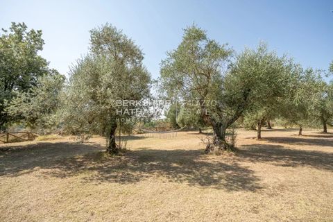 Landejendom i Siena, Siena, Siena - € 1.190.000 | Ref: ito2831 - foto 5