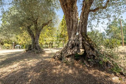 Landejendom i Siena, Siena, Siena - € 1.190.000 | Ref: ito2831 - foto 8