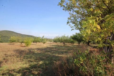Villa i Volterra, Pisa, Volterra - € 1.700.000 | Ref: ITO2830 - foto 9