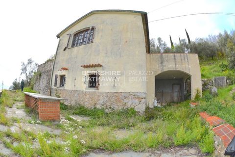 Landejendom i Filadelfia, Vibo Valentia, Filadelfia - € 400.000 | Ref: ITO2805 - foto 3