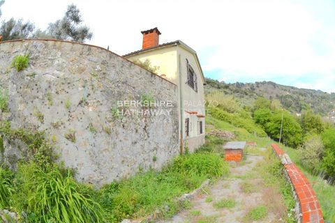 Landejendom i Filadelfia, Vibo Valentia, Filadelfia - € 400.000 | Ref: ITO2805 - foto 5