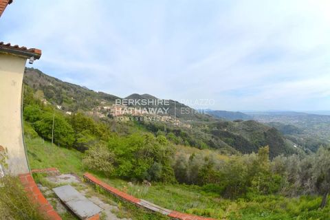 Landejendom i Filadelfia, Vibo Valentia, Filadelfia - € 400.000 | Ref: ITO2805 - foto 6