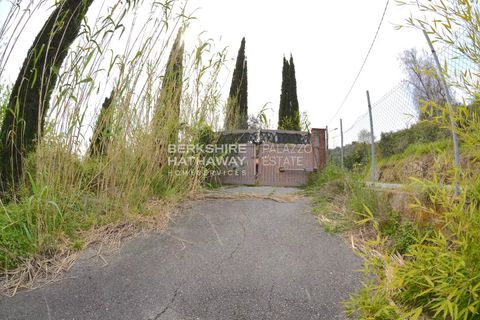 Landejendom i Filadelfia, Vibo Valentia, Filadelfia - € 400.000 | Ref: ITO2805 - foto 7